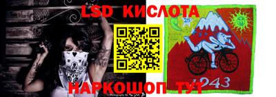 альфа пвп Берёзовский